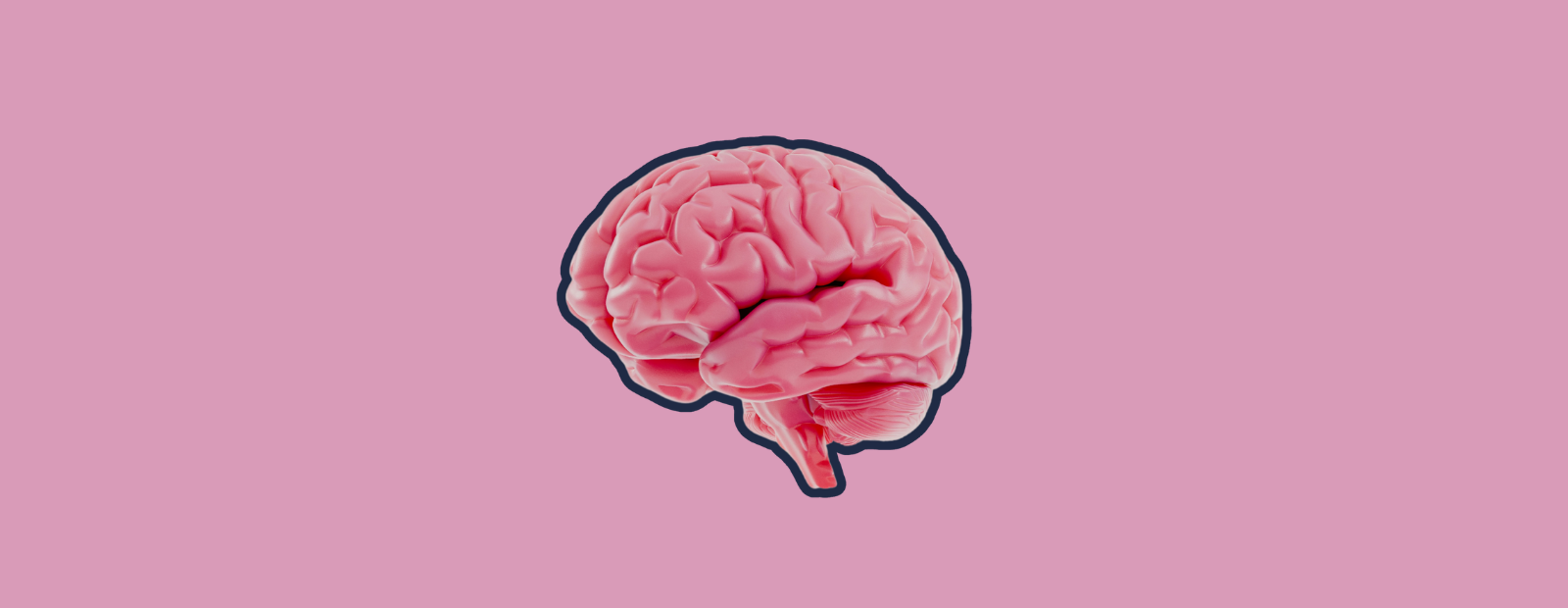 How does your diet shape your brain health?