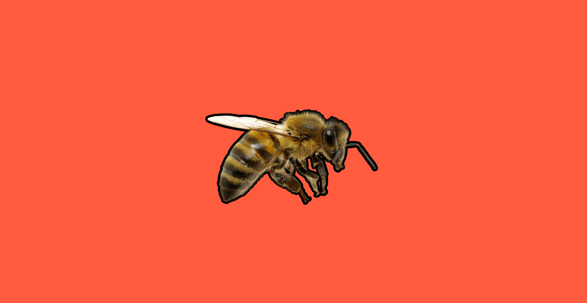 Reishi helps immunity of humans, and bees