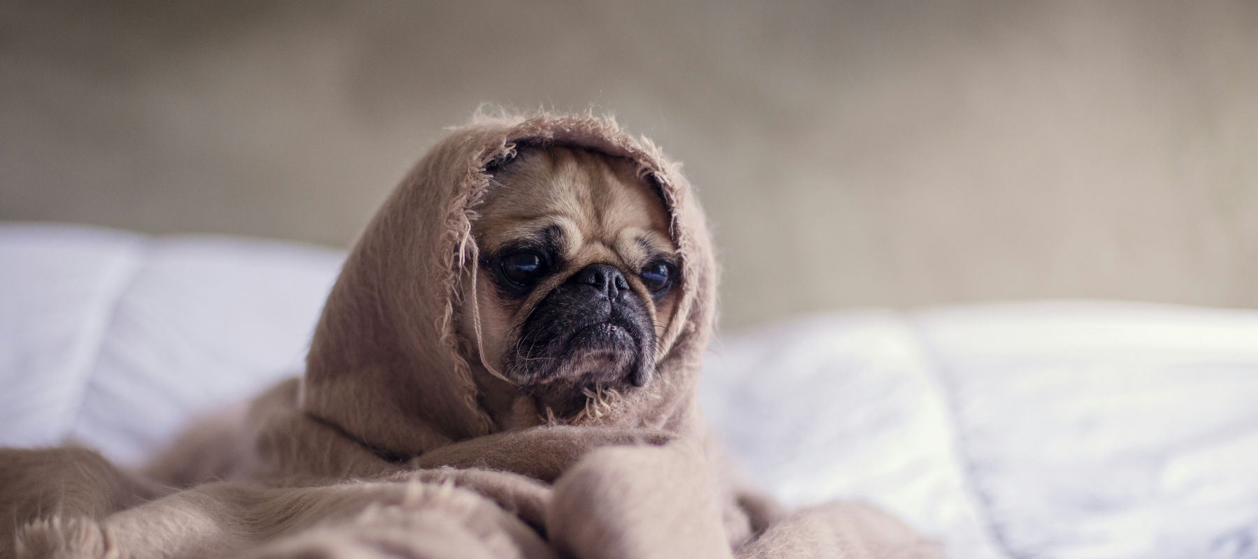 The sleep diet: What to eat (and avoid) for the best sleep of your life