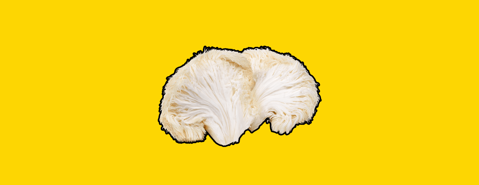 Lion’s Mane Magic: Can This Mushroom Really Supercharge Your Brain?