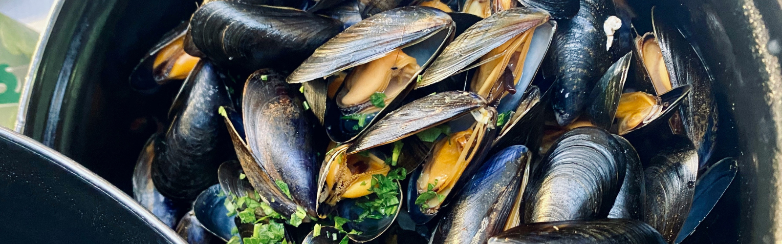 Mussels – The UK’s Next Superfood?